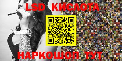 шишки Берёзовский