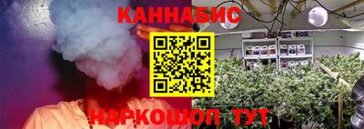 гидра Беслан